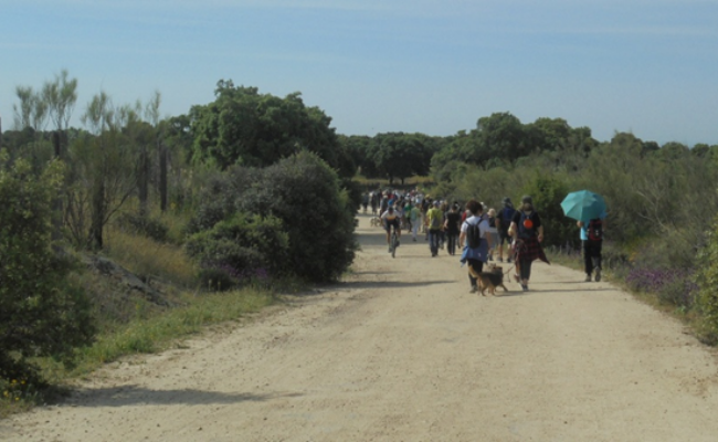 La Comunidad de Madrid rectifica y mantendrá la clasificación de las vías pecuarias como suelo protegido