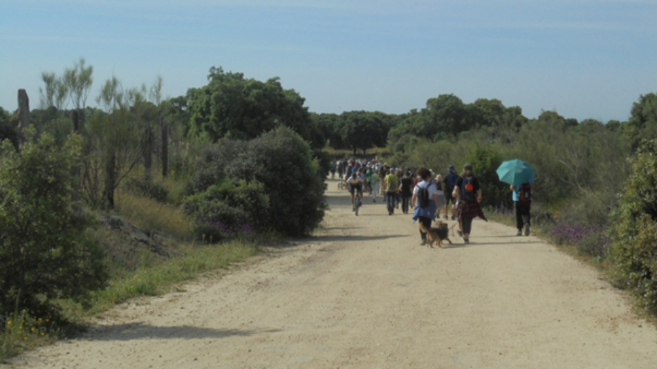 La Comunidad de Madrid rectifica y mantendrá la clasificación de las vías pecuarias como suelo protegido