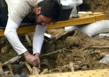 Localizan e identifican 12 cuerpos de desaparecidos de la dictadura en Argentina