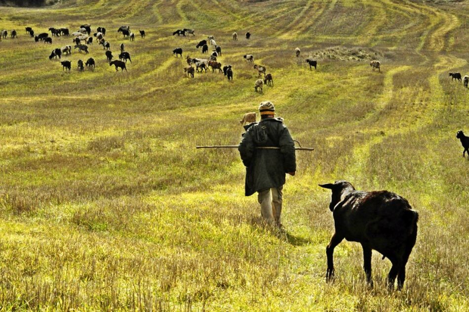 Ecologistas en Acción presenta una guía con 30 experiencias exitosas de ganadería respetuosa con el entorno y las personas