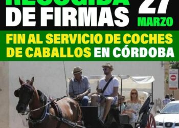 Convocada una movilización en Córdoba para pedir el fin de los coches de caballos: 27 de marzo