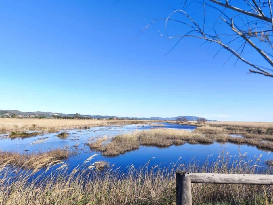 Ecologistes en Acció denuncia en la UE las presuntas infracciones sobre el Prat de Cabanes-Torreblanca