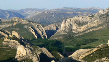 Alianza Verde pide la retirada de la Declaración de Impacto Ambiental del Clúster del Maestrazgo tras los registros a Forestalia