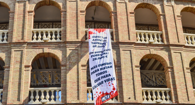 Activistas de PETA toman la Plaza de Toros de Valencia con un enorme mensaje antitaurino