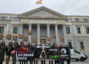 PACMA y organizaciones europeas se concentran ante el Congreso por los perros de caza españoles y registran una petición internacional