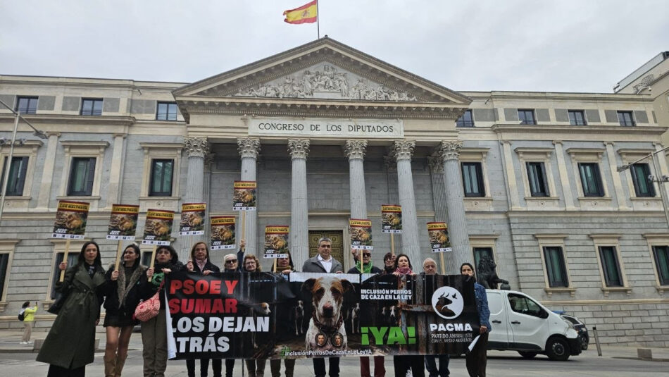 PACMA y organizaciones europeas se concentran ante el Congreso por los perros de caza españoles y registran una petición internacional