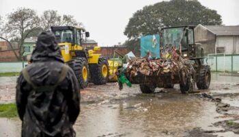 Brasil: Plan Climático busca proteger a la sociedad frente a desastre ambientales