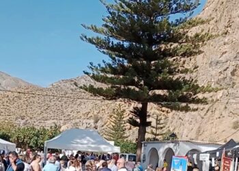IV Feria de Asociaciones de La Alpujarra (Almería)