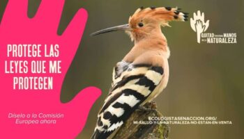 La presión de los ‘lobbies’ empresariales amenaza el futuro de las Directivas de Aves y Hábitats