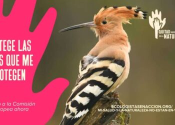 La presión de los ‘lobbies’ empresariales amenaza el futuro de las Directivas de Aves y Hábitats