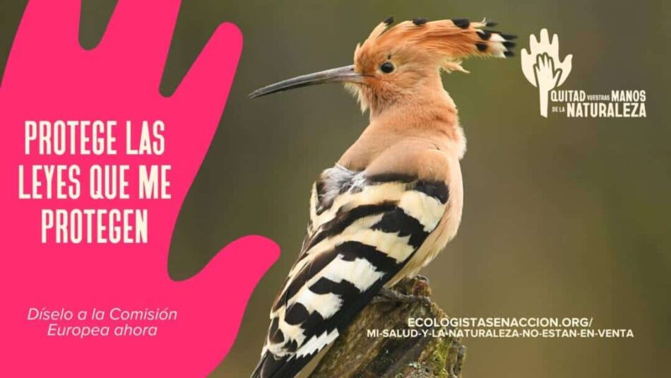 La presión de los ‘lobbies’ empresariales amenaza el futuro de las Directivas de Aves y Hábitats