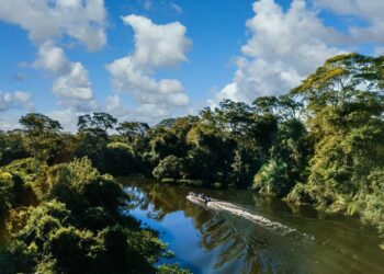 Gobierno de Colombia refuerza las acciones para proteger la Amazonía