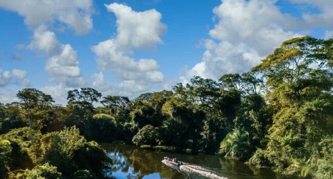 Gobierno de Colombia refuerza las acciones para proteger la Amazonía