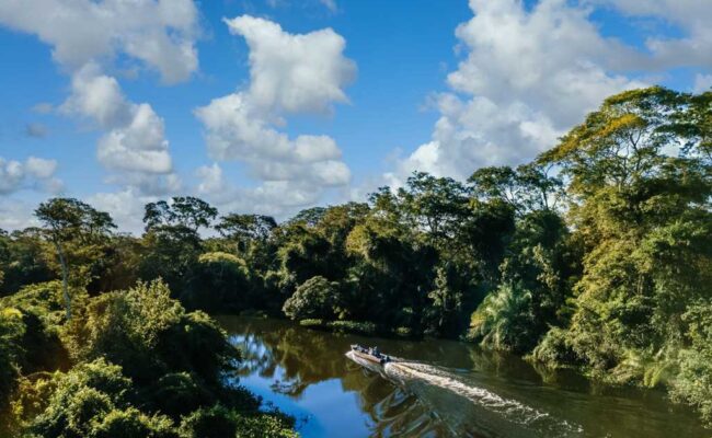 Gobierno de Colombia refuerza las acciones para proteger la Amazonía