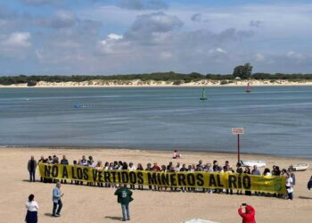 Amigas de la Tierra, Ecologistas en Acción, Greenpeace, SEO/BirdLife y WWF reiteran su rechazo al proyecto de reapertura de la mina de Aznalcóllar por sus riesgos ambientales