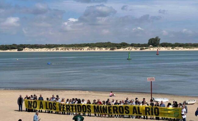 Amigas de la Tierra, Ecologistas en Acción, Greenpeace, SEO/BirdLife y WWF reiteran su rechazo al proyecto de reapertura de la mina de Aznalcóllar por sus riesgos ambientales