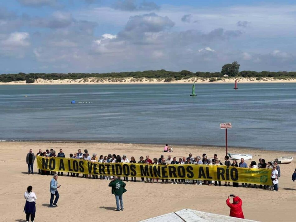 Amigas de la Tierra, Ecologistas en Acción, Greenpeace, SEO/BirdLife y WWF reiteran su rechazo al proyecto de reapertura de la mina de Aznalcóllar por sus riesgos ambientales