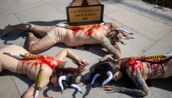 “Toros muertos” de PETA se hacen presentes en la entrega del Premio Nacional de Tauromaquia en el Senado