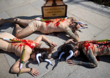 “Toros muertos” de PETA se hacen presentes en la entrega del Premio Nacional de Tauromaquia en el Senado