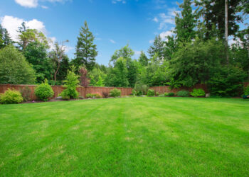 Por qué el cuidado automatizado del césped es una opción ecológica