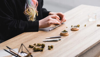 El Gremio de la Industria del Cannabis traslada la necesidad de reforzar la seguridad jurídica del sector en España