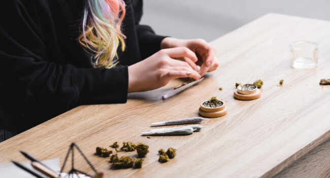 El Gremio de la Industria del Cannabis traslada la necesidad de reforzar la seguridad jurídica del sector en España