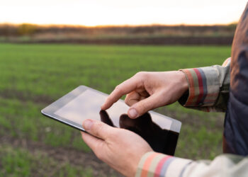 El reto de la digitalización en la España rural: ¿Faltan profesionales?