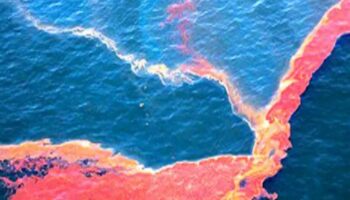 Recolectan 889 toneladas de crudo tras un derrame en el golfo de México