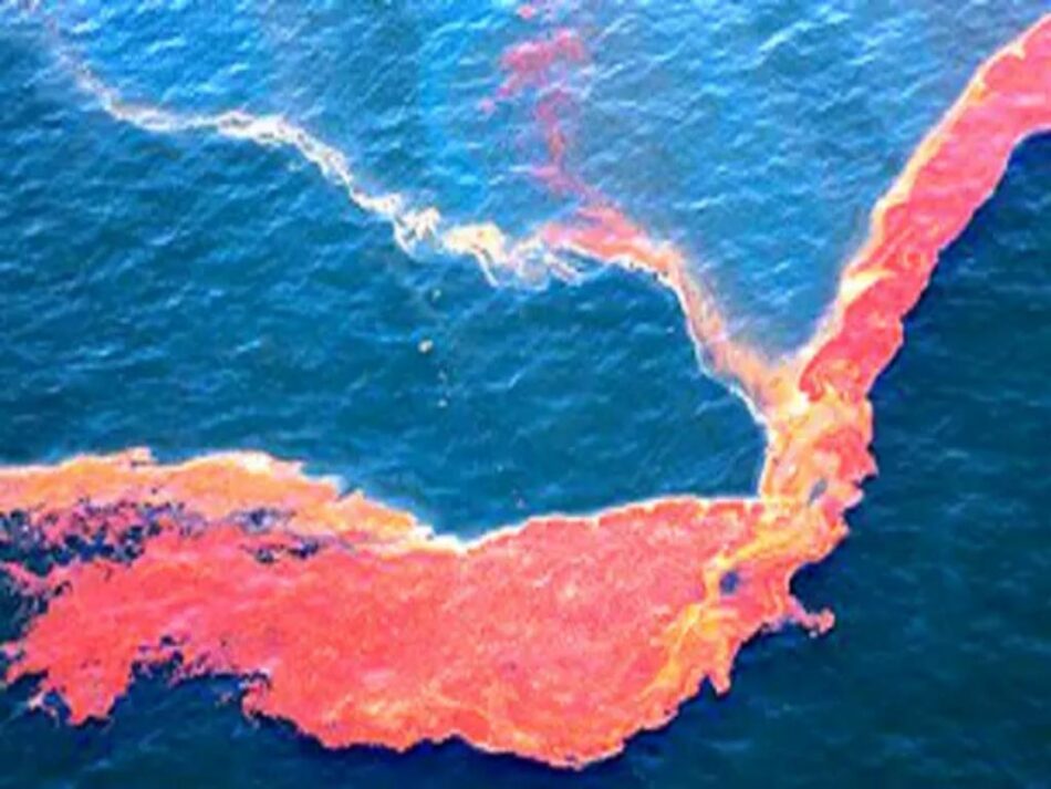 Recolectan 889 toneladas de crudo tras un derrame en el golfo de México