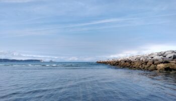Colectivo Ecologista de Avilés: «Esperamos por el estudio de impacto del dragado del puerto de Avilés»