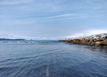 Colectivo Ecologista de Avilés: «Esperamos por el estudio de impacto del dragado del puerto de Avilés»