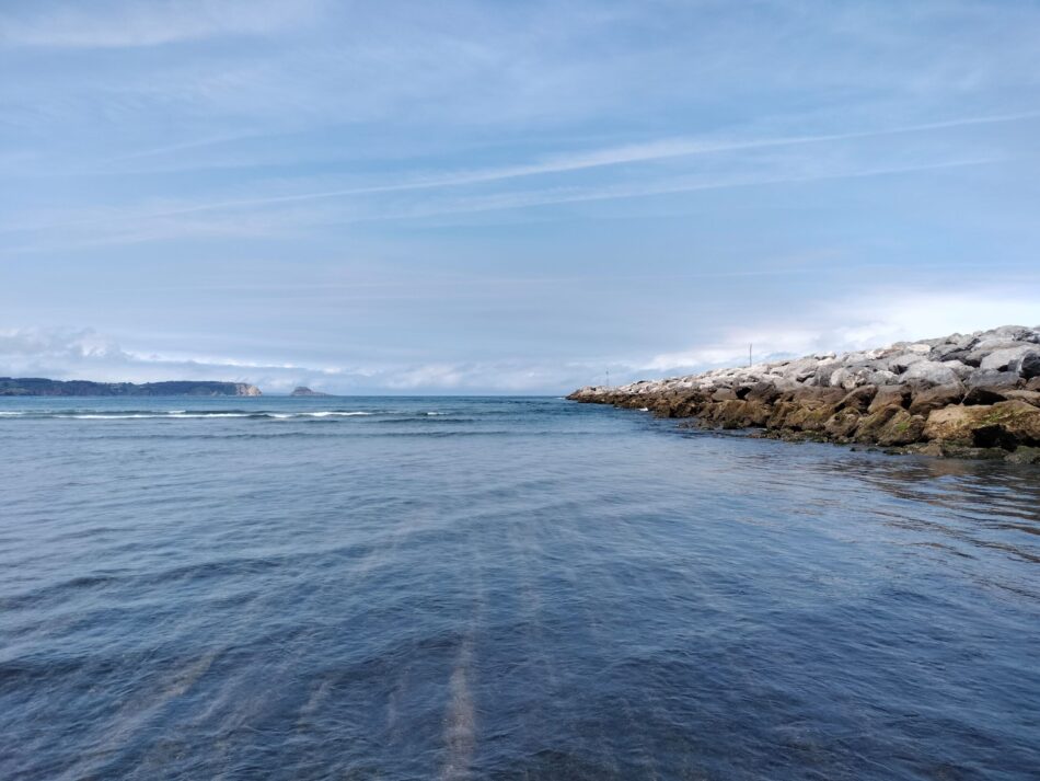 Colectivo Ecologista de Avilés: «Esperamos por el estudio de impacto del dragado del puerto de Avilés»