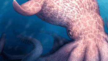 El ‘kraken’ del Cretácico rivalizó con superdepredadores marinos