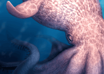 El ‘kraken’ del Cretácico rivalizó con superdepredadores marinos