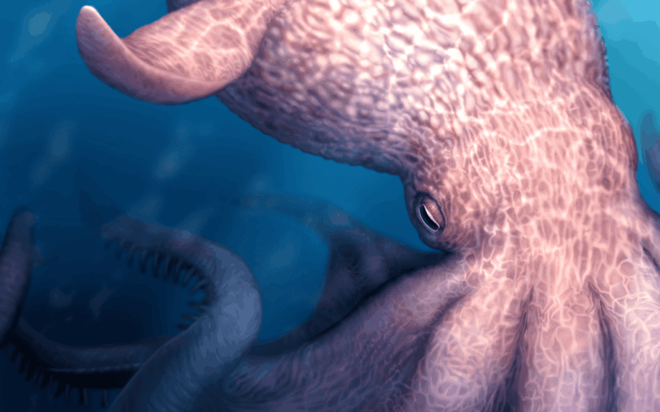 El ‘kraken’ del Cretácico rivalizó con superdepredadores marinos