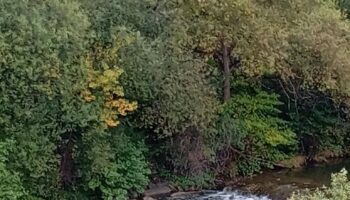 Sancionan al Ayuntamiento de San Martín por los vertidos al río Nalón