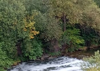 Sancionan al Ayuntamiento de San Martín por los vertidos al río Nalón
