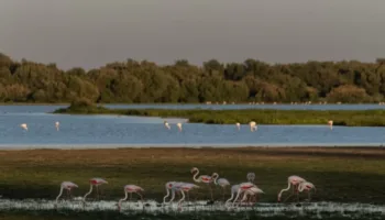 Más de un centenar de organizaciones se levantan con la naturaleza en el Día de la Tierra