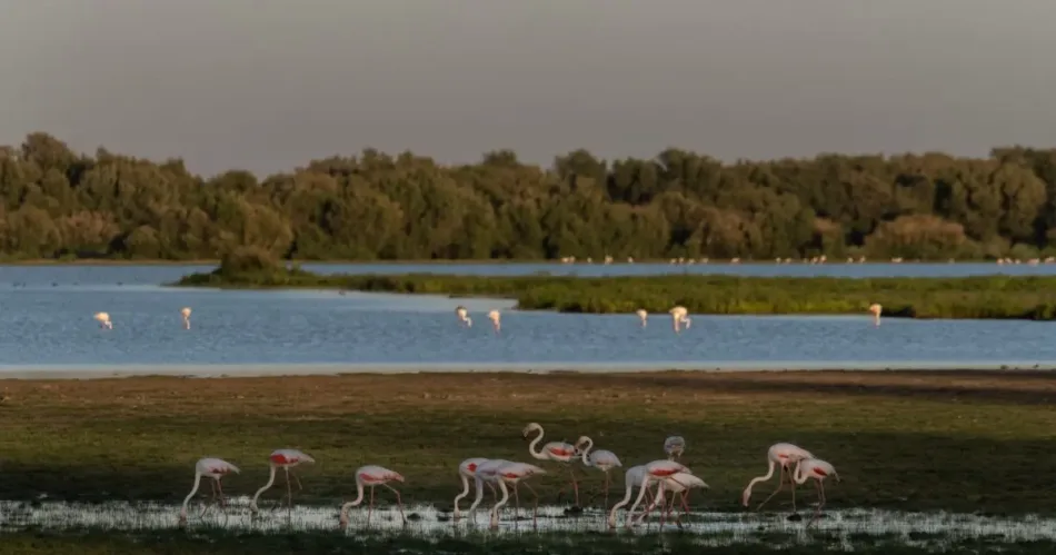 Más de un centenar de organizaciones se levantan con la naturaleza en el Día de la Tierra