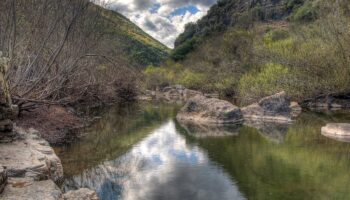 Ecologistas denuncia la petición de Asaja de derogación del ZEPA Alto Guadiato