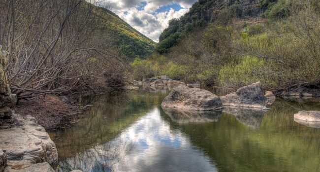Ecologistas denuncia la petición de Asaja de derogación del ZEPA Alto Guadiato