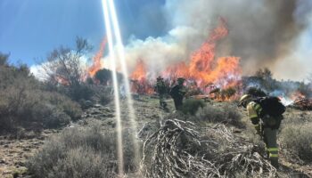 Organizaciones ecologistas de Extremadura piden responsabilidades por el incendio de Losar de la Vera
