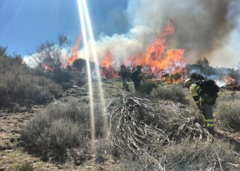 Organizaciones ecologistas de Extremadura piden responsabilidades por el incendio de Losar de la Vera