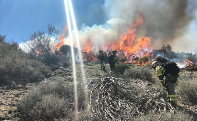 Organizaciones ecologistas de Extremadura piden responsabilidades por el incendio de Losar de la Vera