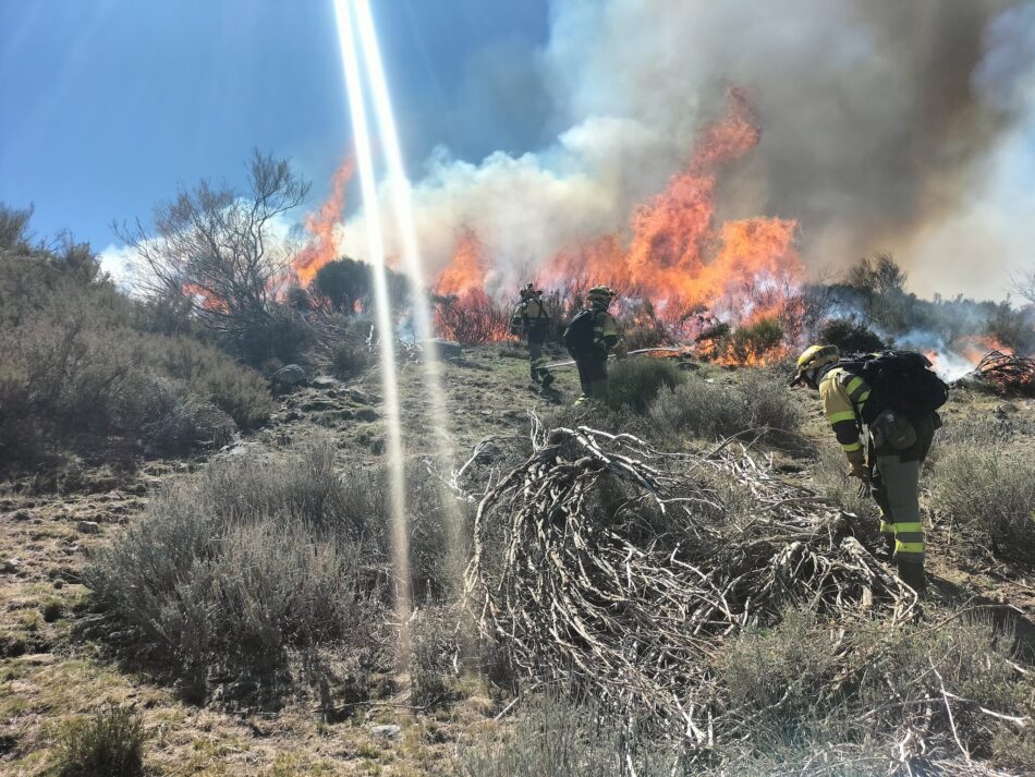 Organizaciones ecologistas de Extremadura piden responsabilidades por el incendio de Losar de la Vera