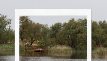 Alianza Verde reivindica más políticas ecologistas frente a las derechas reaccionarias en el Día de la Tierra