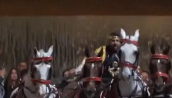 PACMA afea que López Miras fuerce a caballos para su cuadriga: «Si quiere espectáculo, que tire él del carro»