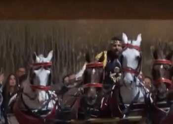 PACMA afea que López Miras fuerce a caballos para su cuadriga: «Si quiere espectáculo, que tire él del carro»