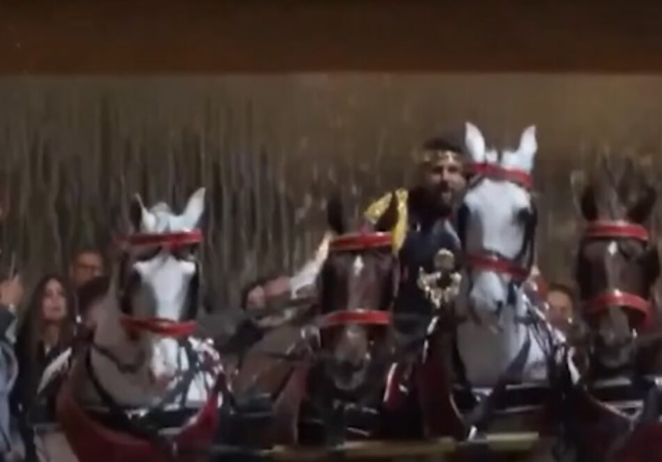 PACMA afea que López Miras fuerce a caballos para su cuadriga: «Si quiere espectáculo, que tire él del carro»