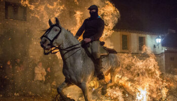 ANPBA denuncia las «Luminarias» por enfrentar a caballos con el fuego de enormes hogueras e invoca la Ley de protección animal